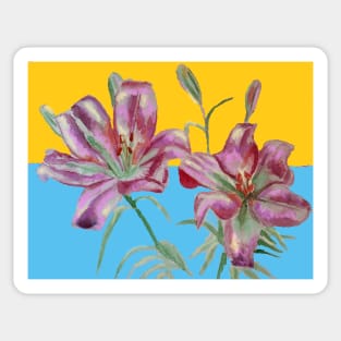 Pink Lily Watercolor Floral Painting on Yellow and Blue Sticker